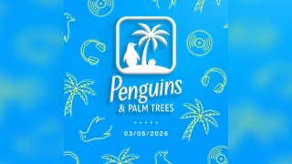 Penguins and Palm Trees presents The Beginning