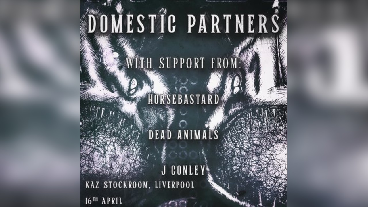 Alinea/ECA present Domestic Partners - Single Release Show