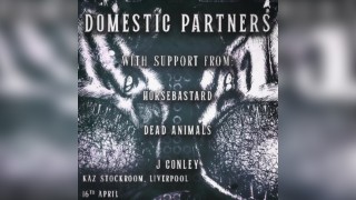 Alinea/ECA present Domestic Partners - Single Release Show