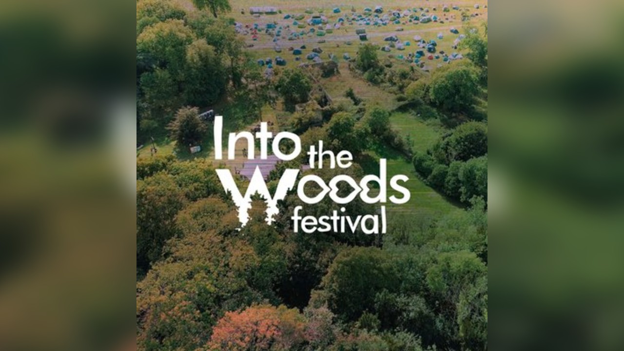 Into the Woods festival 2026