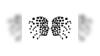 Face2Face presents Quest