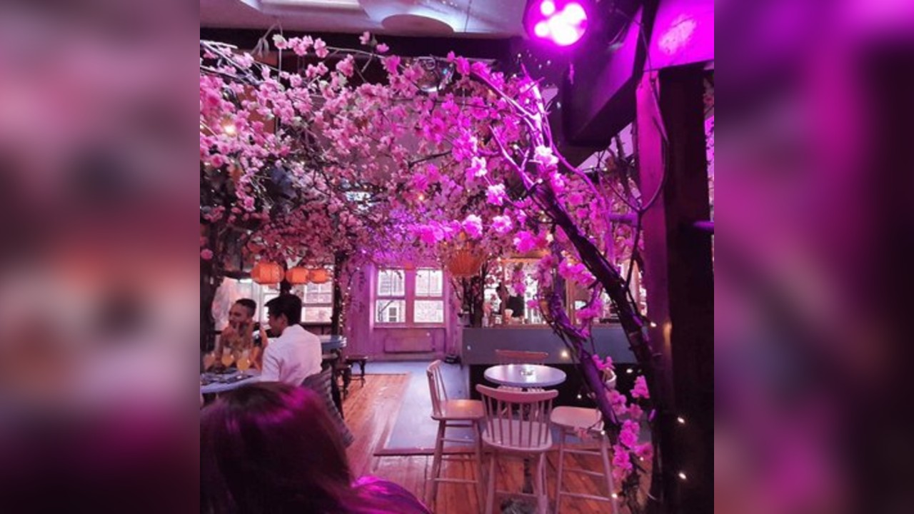 Spring Vibes at the Electric Garden