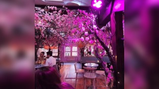 Spring Vibes at the Electric Garden