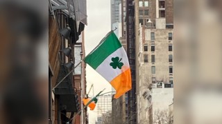 Y2K Paddy's Day Special