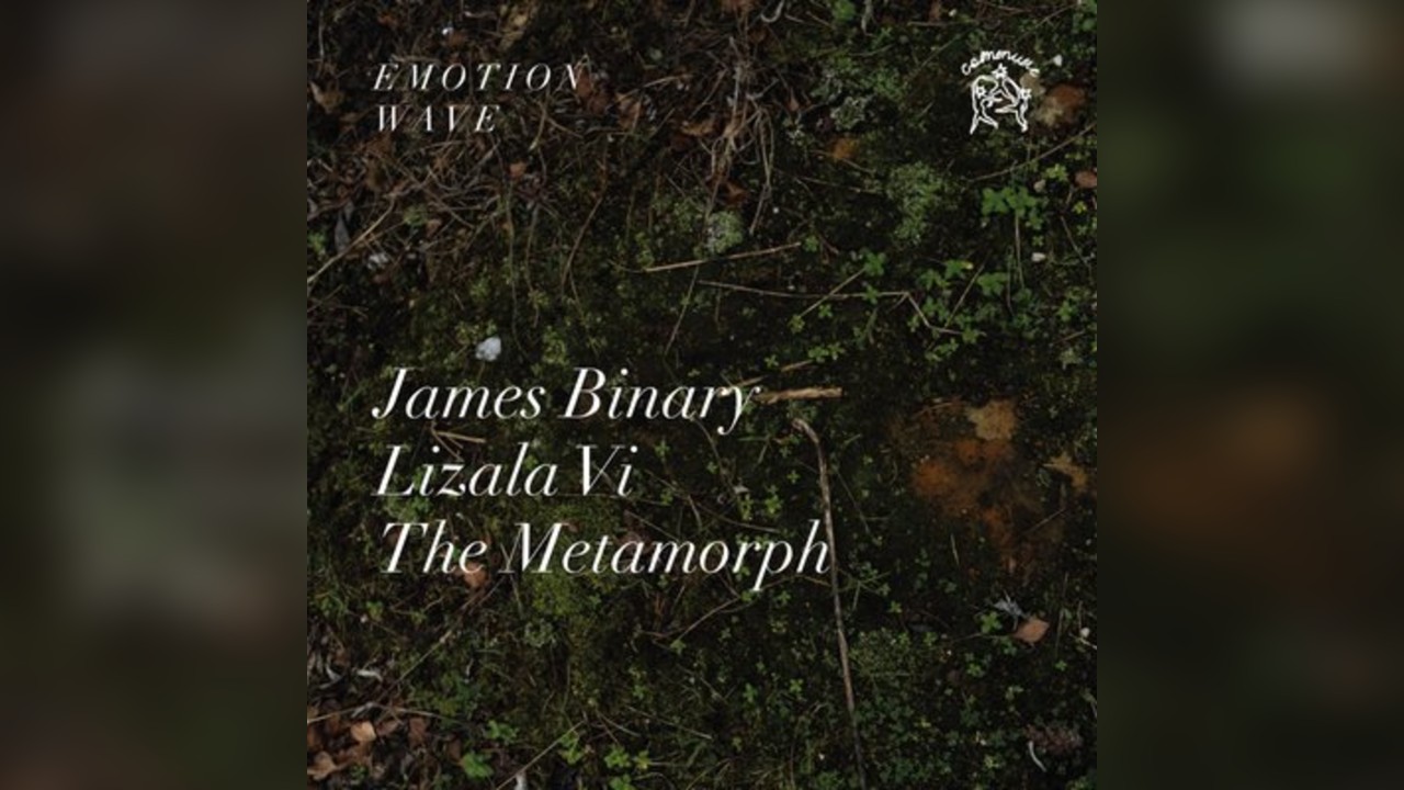 Emotion Wave: James Binary, Lizala Vi, The Metamorph
