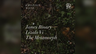 Emotion Wave: James Binary, Lizala Vi, The Metamorph