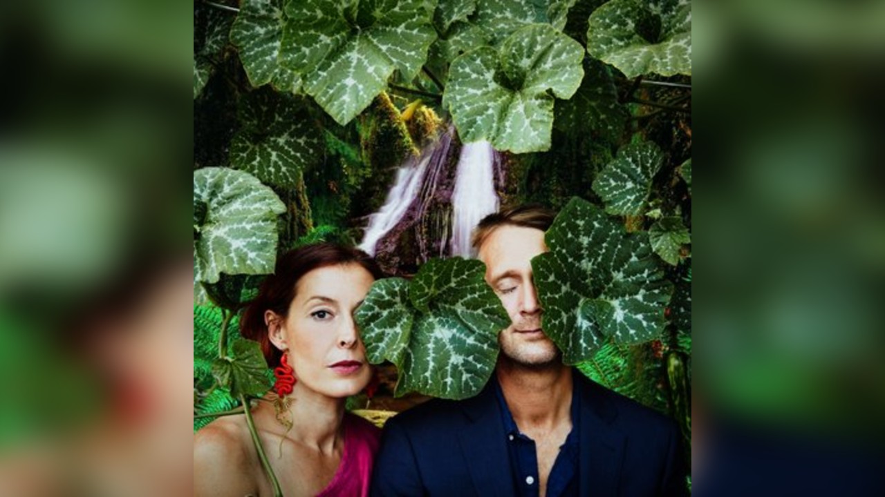 An Evening With THE FORCEFIELDS