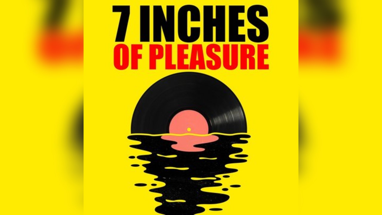 7 Inches of pleasure
