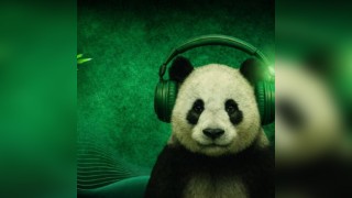 Mangled Panda: Silk Road Takeover - Easter BH DnB Special