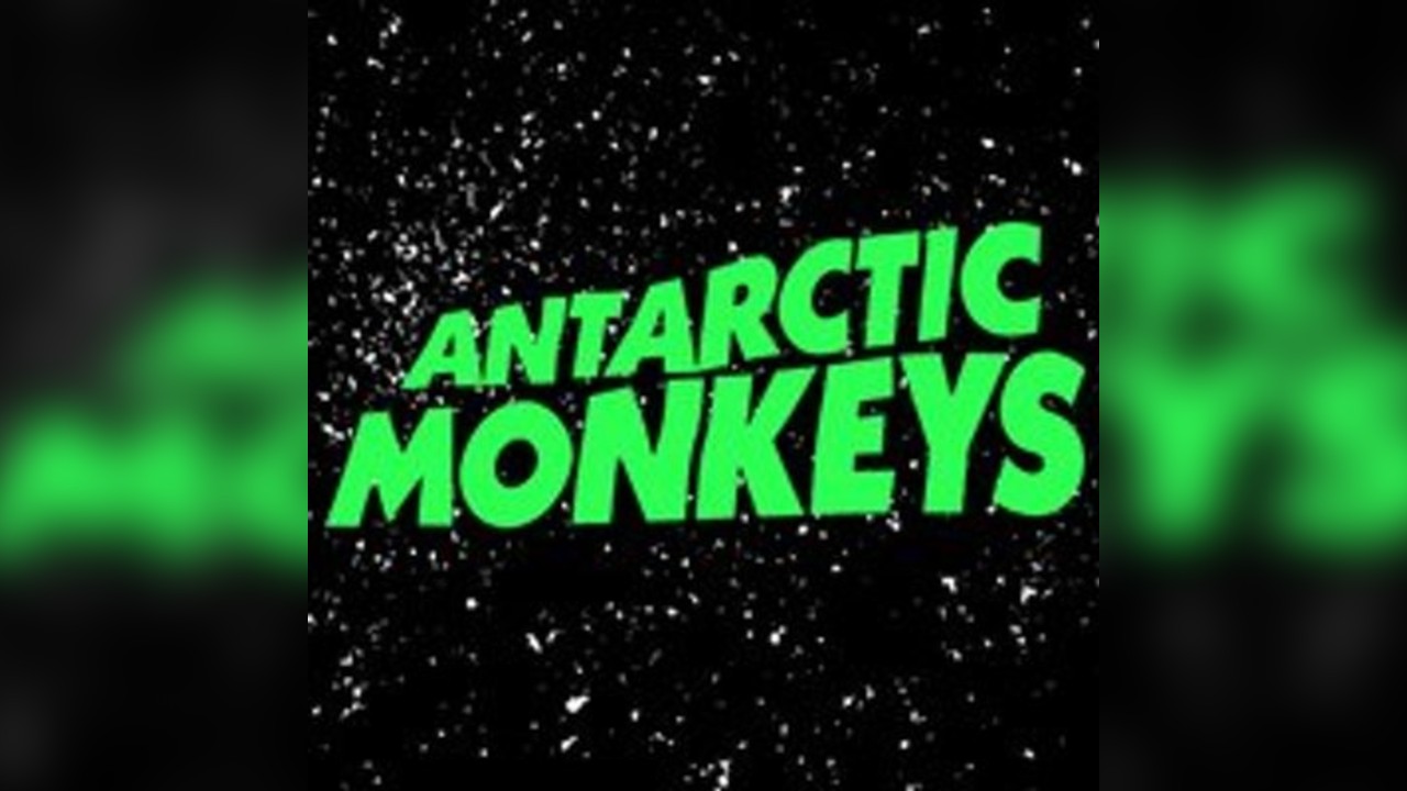Antarctic Monkeys - The UKs No1. Arctic Monkeys Tribute Band