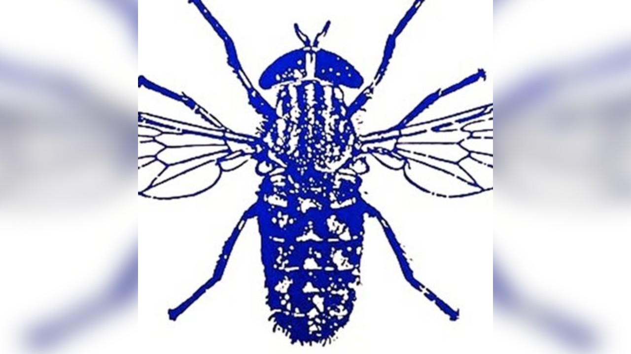 Venus Fly Trap 1986-2026 + special guests