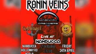 FREE: Ronin Veins/Imaginary Dreamers/Goblinaut/The Custard Sc