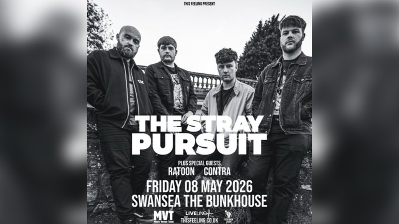 The Stray Pursuit - Swansea