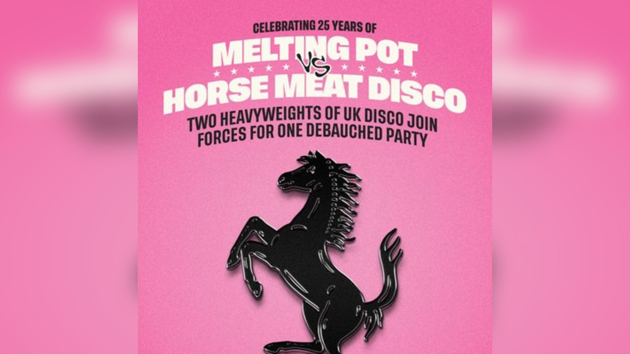 Horse Meat Disco vs Melting Pot [25 Yrs] - Easter Daytime Disco