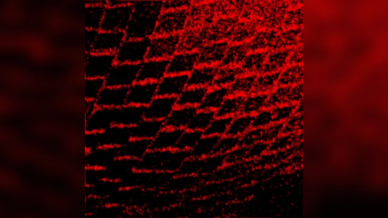 Good Custard @ Redlight x Swales, Roisin W and DJ Batehoven