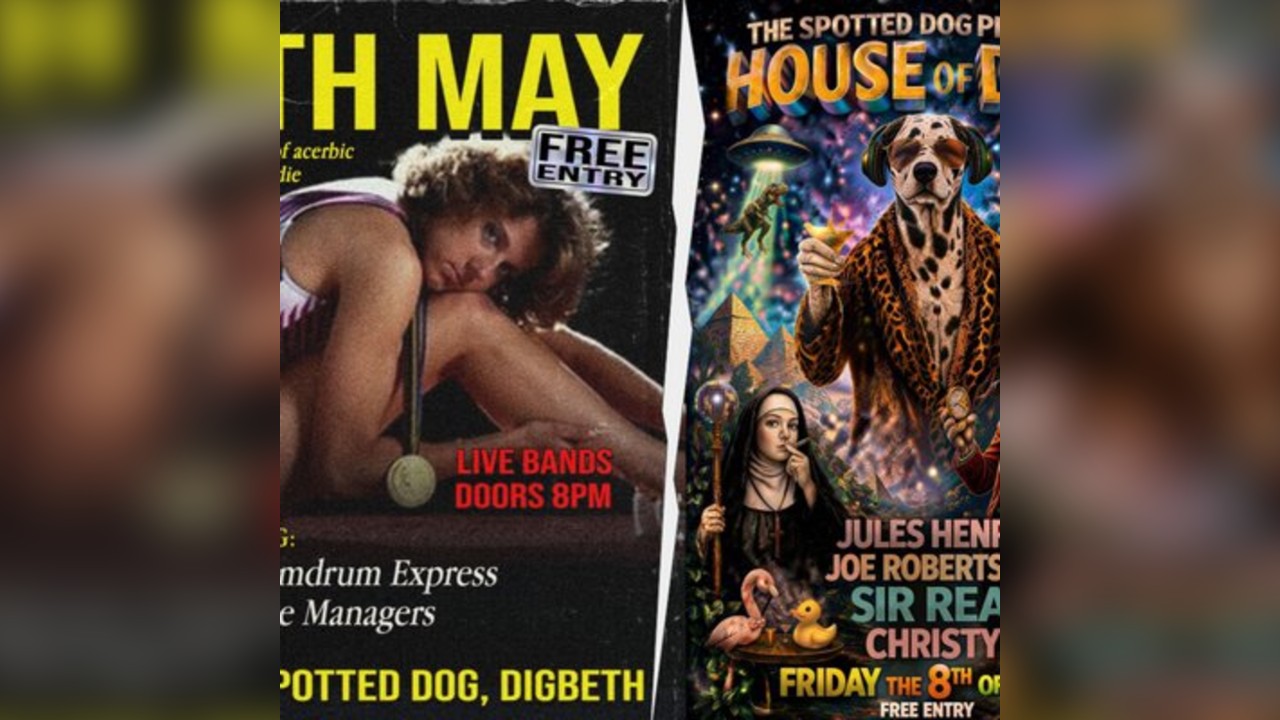 [FREE EVENT] Double Header: Indie Punk Live + House of Dog II
