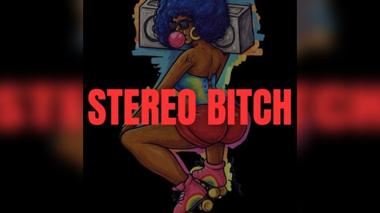 Stereo Bitch