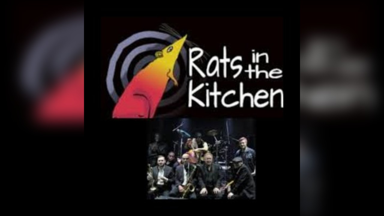Rats In The Kitchen