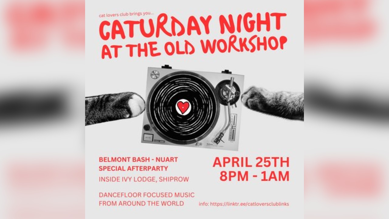 Caturday Night at the Old Workshop