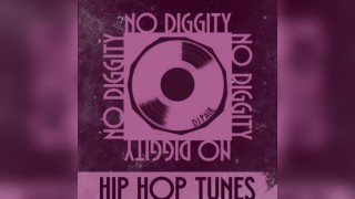 NO DIGGITY  - Free Entry