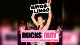 Bingo Lingo