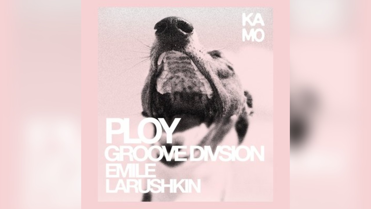kamo with Ploy, Groove Division, Emile & Larushkin