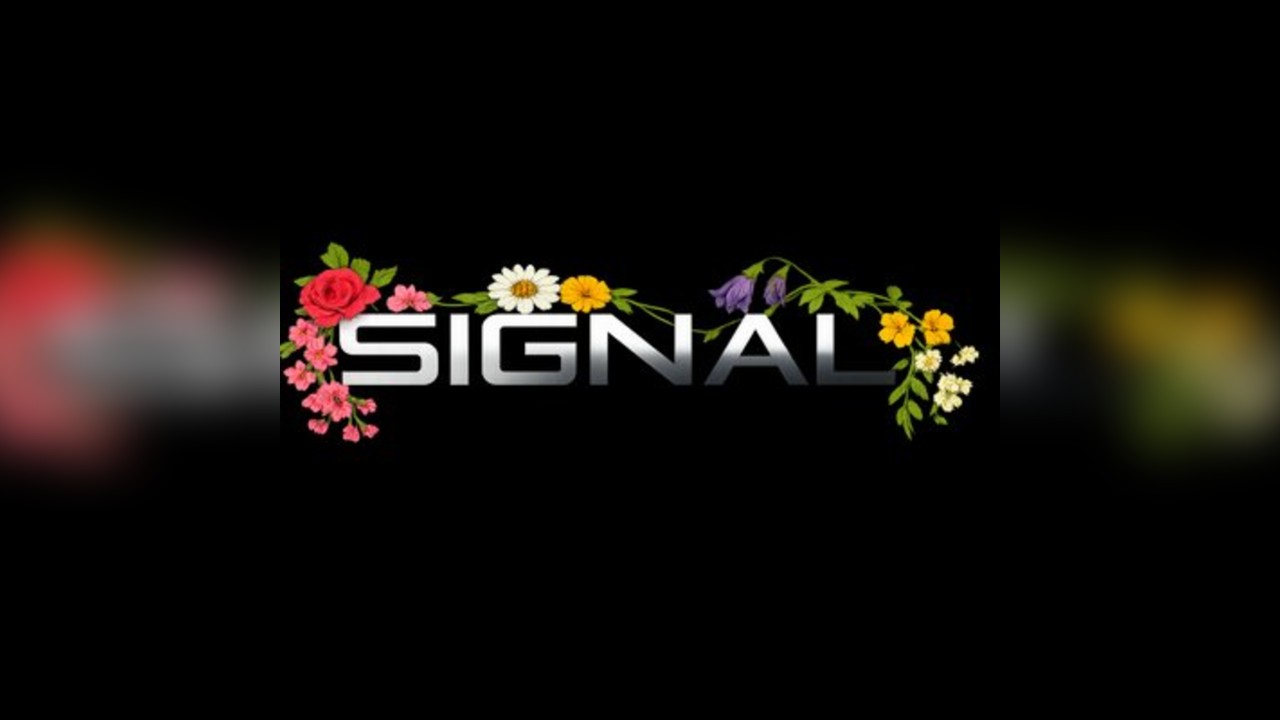 Signal: Summer Sessions