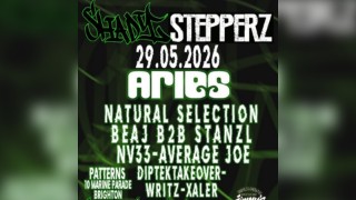 Shady Stepperz