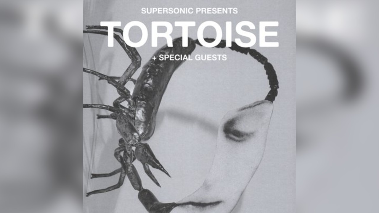 Tortoise at The Crossing, Birmingham