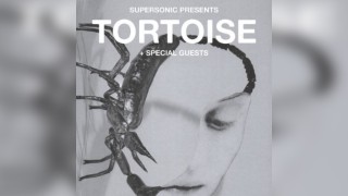 Tortoise at The Crossing, Birmingham