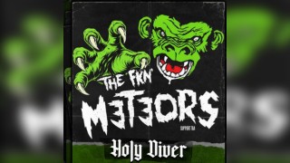 The Meteors