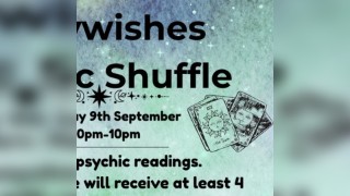 Fairywishes Psychic Shuffle
