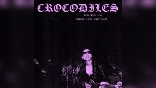 Crocodiles