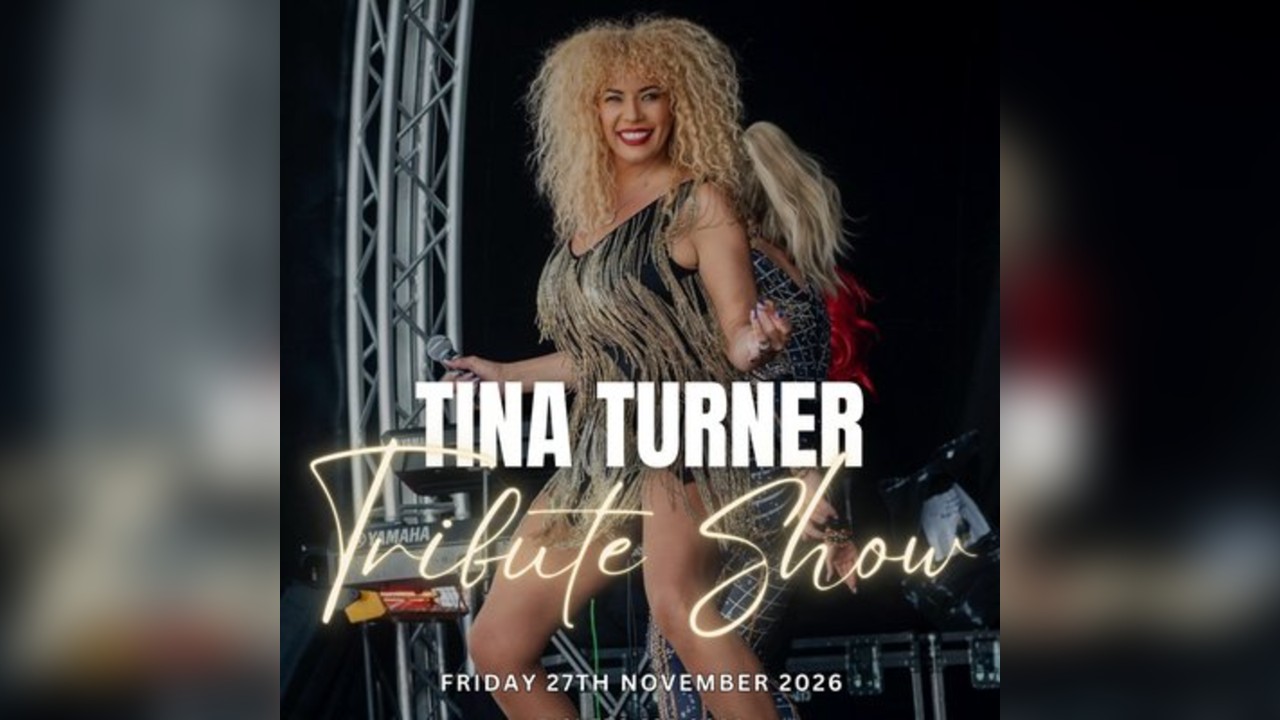 Queen of Rock n Roll A Tina Turner Tribute