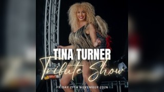 Queen of Rock n Roll A Tina Turner Tribute