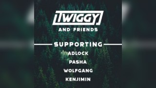 Twiggy & Friends
