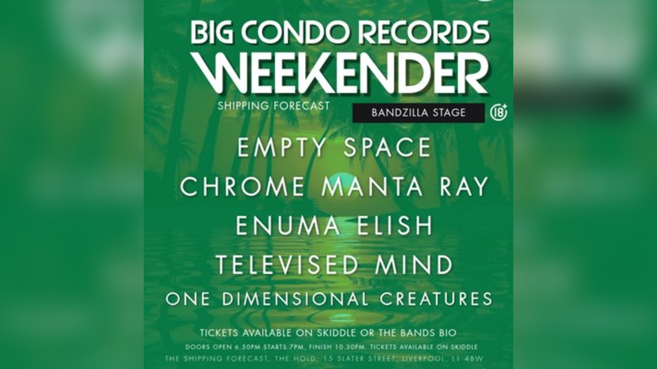Big Condo Records Weekender Presents The Bandzilla Stage