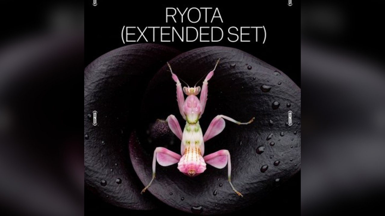 Amber's Presents: Ryota (Extended Set)