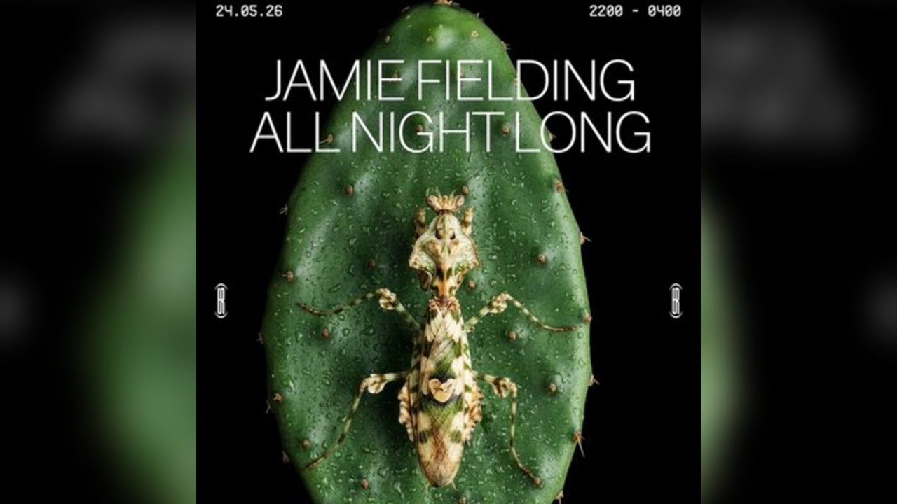 Afters at Amber's: Jamie Fielding (ALL NIGHT LONG)