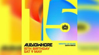 Audiowhore 15th Birthday