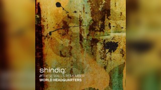 Shindig: Sasha