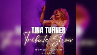 Queen of Rock n Roll A Tina Turner Tribute