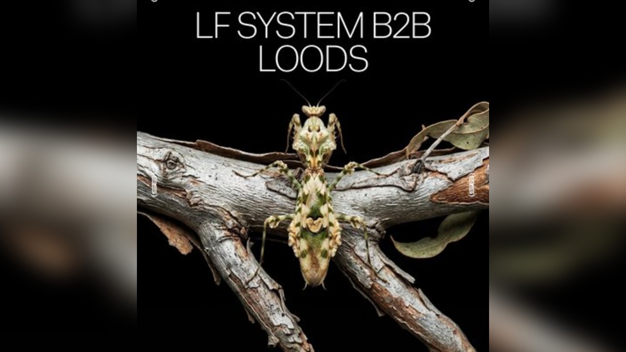 Amber's Presents: LF System b2b Loods