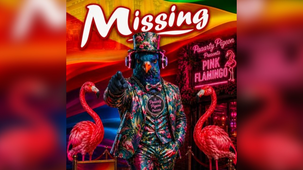 Paaarty Pigeon Presents Pink Flamingo