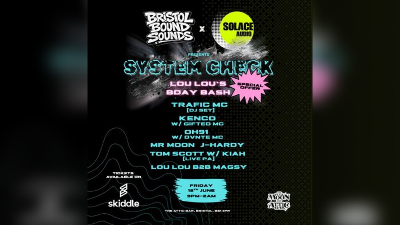System Check: Lou-Lou's Birthday Bash