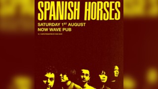 Spanish Horses