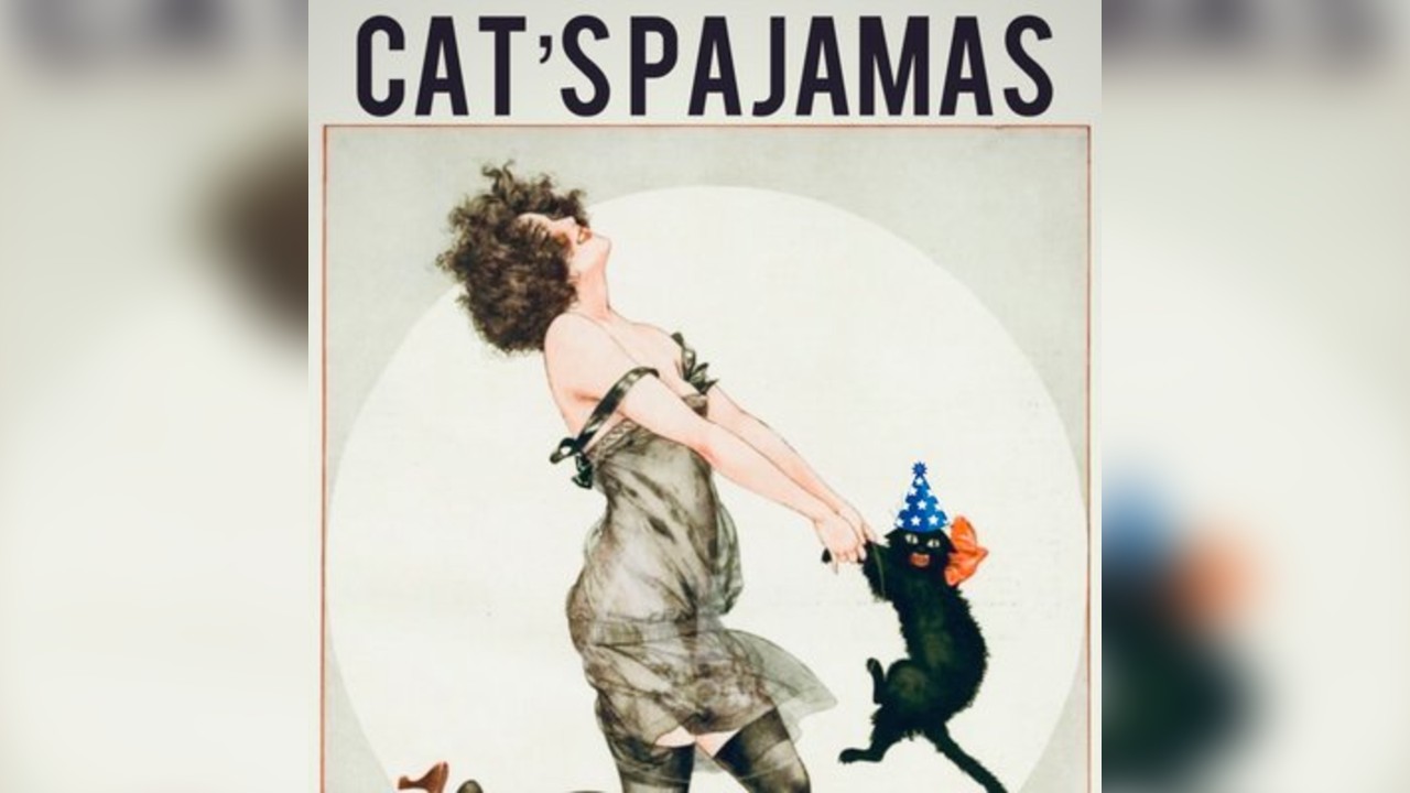Cats Pajamas