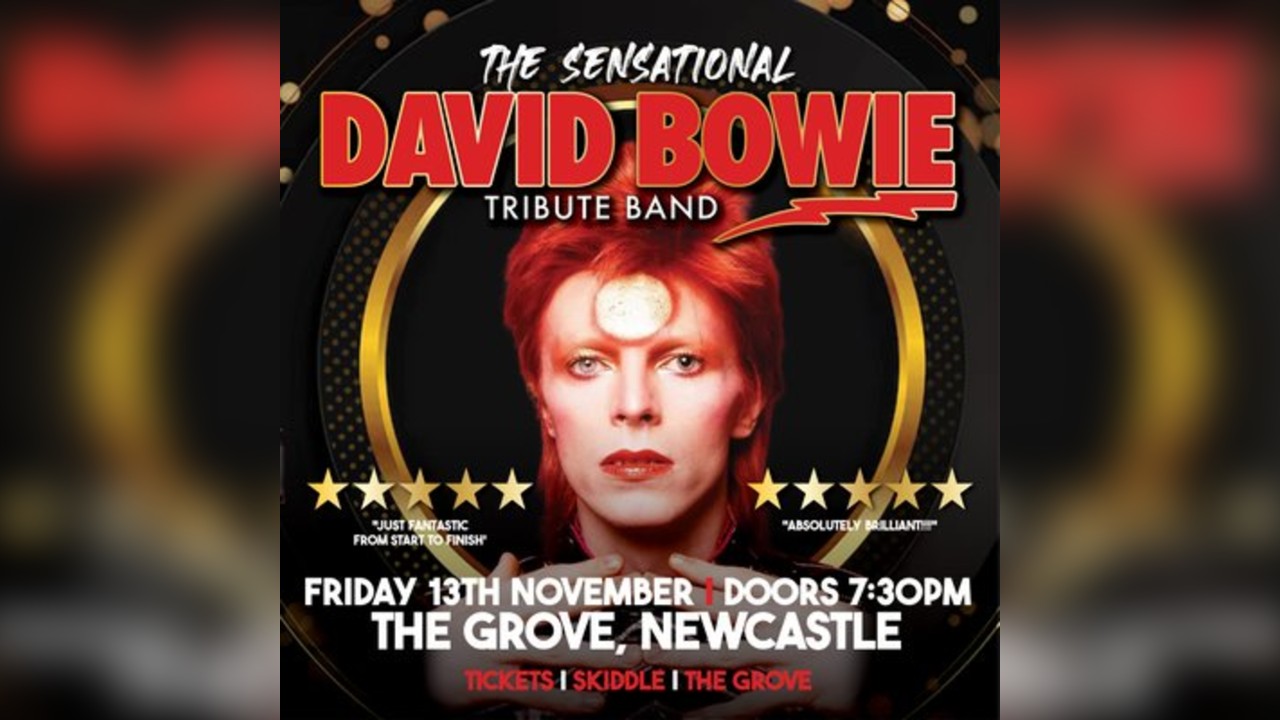 The Sensational David Bowie Tribute Band