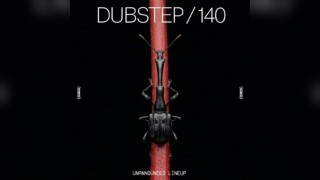 Saturdays at Amber's: Dubstep | 140