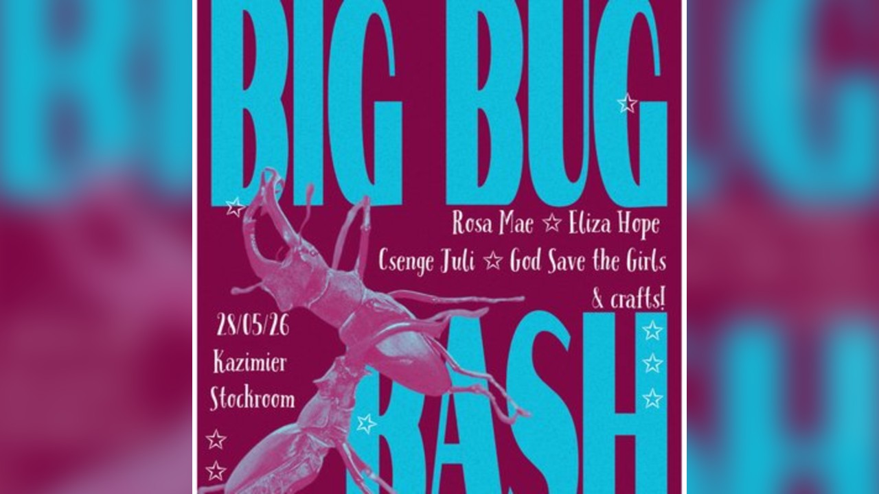 Big Bug Bash hosted by Caterpillar Collective